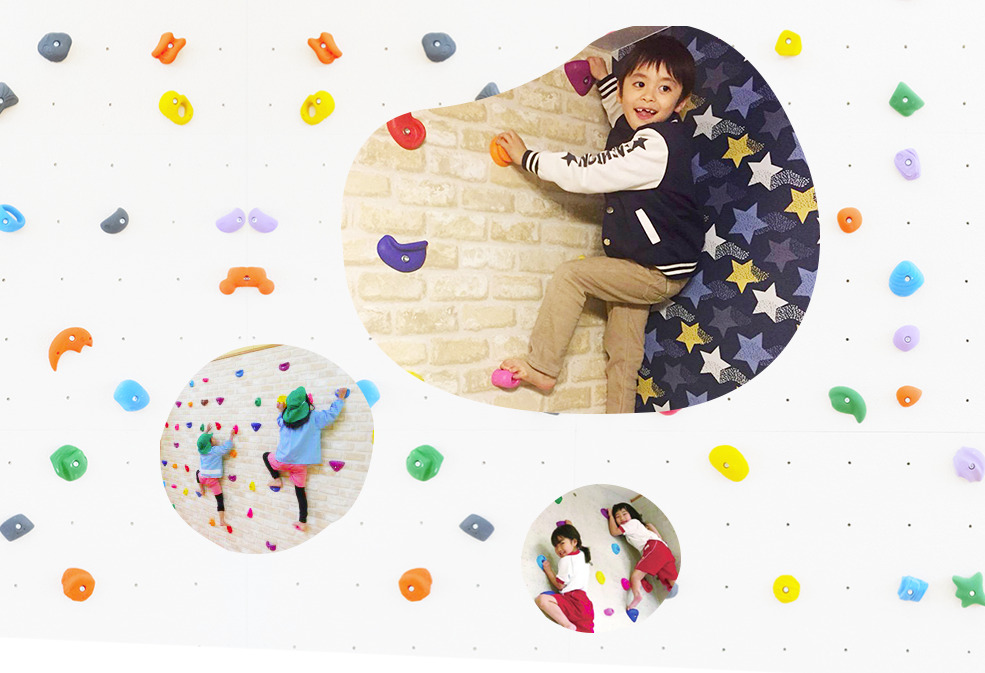 子供の発育に効果絶大 価格も手頃な家庭用ボルダリングパネル ジェイジェイドリーム