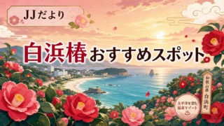 【JJだより】椿版！直接体験したおすすめスポットをご紹介！