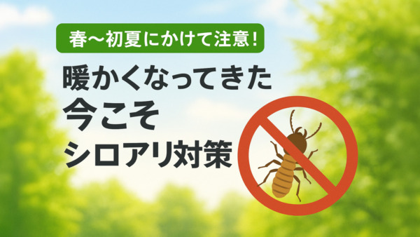暖かくなるとシロアリが動き出す？今こそ点検のチャンス！